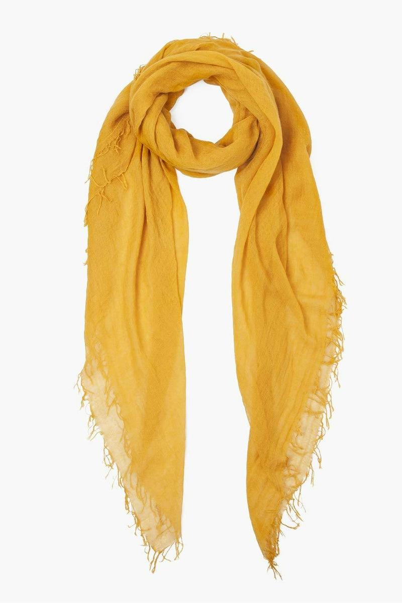 Cashmere And Silk Scarf Arrowwood Accessory